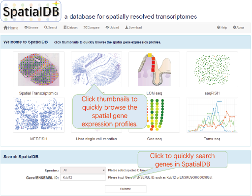 TomoSeq data search